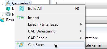 "Cap Faces" selected in the drop-down Cap Faces