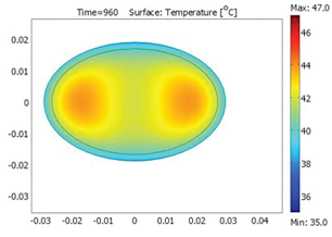 COMSOL Multiphysics model of fish Science of Cooking COMSOL Multiphysics model of fish