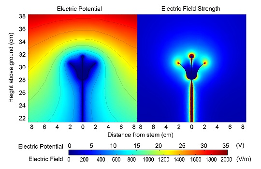Flower Electric Potentials And Fields Electrical, Flower Electric Potentials And Fields small