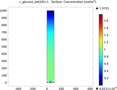 Glucose Sensor