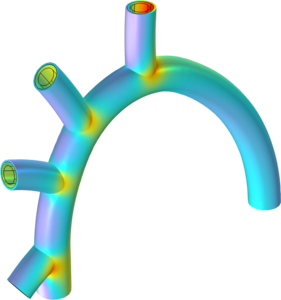 Fluid–Structure Interaction in a Network of Blood Vessels