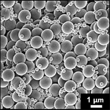 Drying Model of Two-Particle System Solution Considering Capillary Pressure