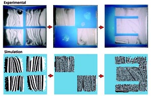Modeling of Laminar Flow Static Mixers