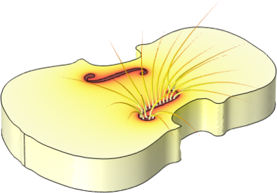 opretholde Skøn Ægte Acoustic-Structure Interaction and Air Flow in Violins