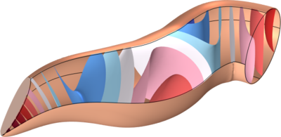 Ear Canal Acoustics