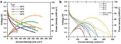 Simulation-Based Sensitivity Analysis of the Direct Ammonia Fuel Cell ...