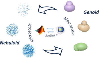 Modeling of Oxygen Metabolism in 3D Cell Constructs with LiveLink™ for ...