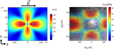 Electrothermoplasmonic Flow in Gold Nanoparticle Suspensions