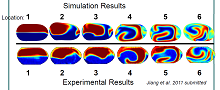 Simulation of chaotic mixing dynamics in microdroplets
