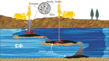 Microscale Simulation of Nanoparticles Transport in Porous Media for ...