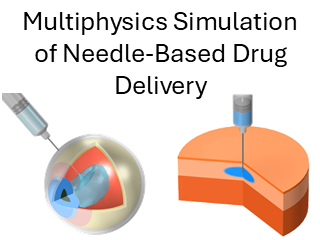Multiphysics Simulation of Needle-Based Drug Delivery: Subcutaneous and ...