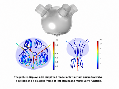 A computationally efficient and physiologically consistent Left Atrium ...