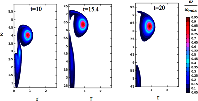Direct Numerical Simulation of Time Evolution of Vortex Ring