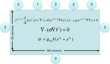 Computational Simulation of Electrohydrodynamic Systems Pertaining to Micro ...