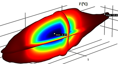 Modeling Water Immersion Thawing of Raw Tuna Fishes