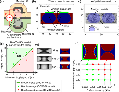 Understanding the Physics of Droplet Electrocoalescence in a Microtrap