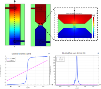 Numerical Simulations for Designing Wireless Electrochemiluminescence ...