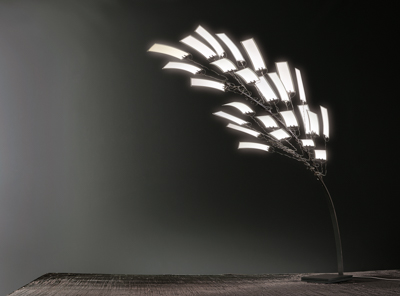 Let There Be Light: A Brighter Future for OLEDs