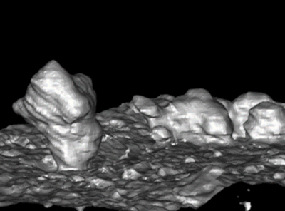 Keeping Dendrites at Bay with Numerical Simulation